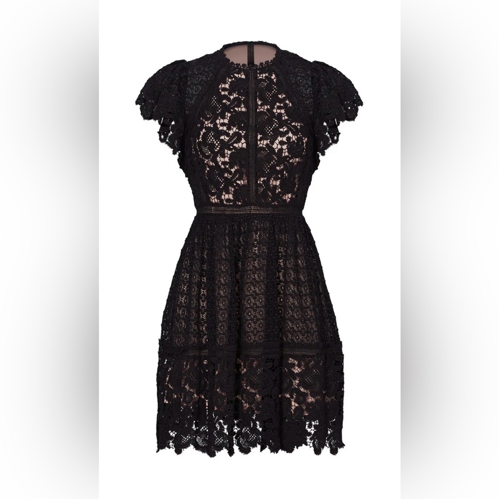 Rebecca Taylor Black Lace Dress Size 2 Cotton Lace Nude Lined Fit & Flare